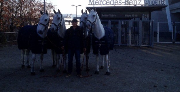 Lipizzaners