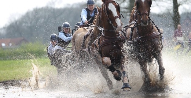 Ermelo: start seizoen 2014