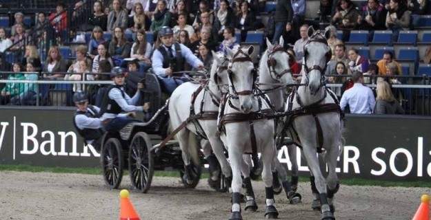 CAI-W Stuttgart