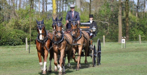 Zandhoven: eerste plaats