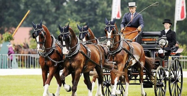Lähden: 6e plaats